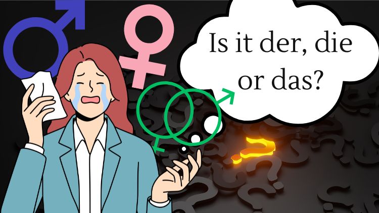 udemy course article der die das